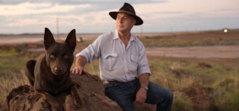 Dr Rick Fenny releases autobiography of Red Dog Vet chronicles ...